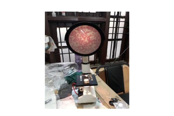 Microscope
